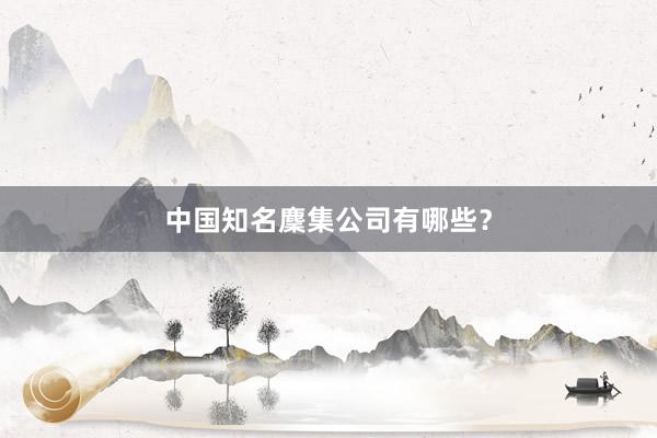 中国知名麇集公司有哪些？
