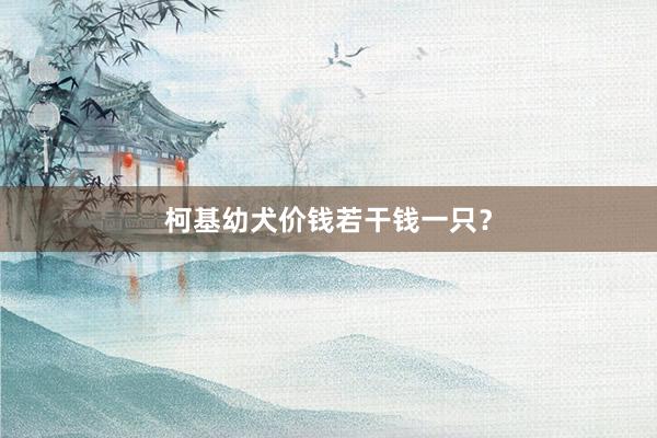 柯基幼犬价钱若干钱一只？